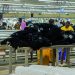 AfDB Approves $14.04 Million Loan to Guinea for Industrial Development and SME Resilience Project