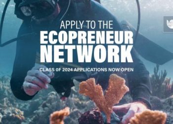 Call For Applications: Sustainable Ocean Alliance Ecopreneur Network Class of 2024 (up to $100,000)