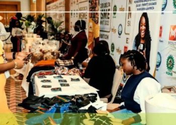 NDYP to Host over 1,000 Young Professionals Business Summit and Boot Camp for MSME Day