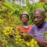 Nestlé Partners African Farmers On Safety and Sustainable Agriculture in Central and West Africa
