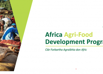 Call for Applications: Agri-Food Development Program 2024 for agri-food companies in Africa.