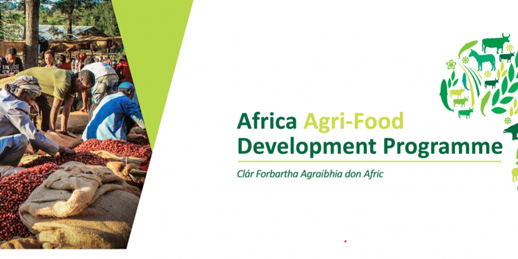 Call for Applications: Agri-Food Development Program 2024 for agri-food companies in Africa.