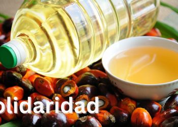 Solidaridad and IDH Launch NISCOPS-2 for Sustainable Oil Palm Farming in Nigeria to support over 12,000 smallholder farmers