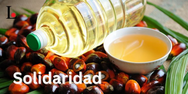 Solidaridad and IDH Launch NISCOPS-2 for Sustainable Oil Palm Farming in Nigeria to support over 12,000 smallholder farmers