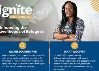 Call For Applications: You grant Impact Hub Kigali(IHK) and World Food Program(WFP) The IGNITE 3.0 (Up to $25,000 in grant funding)
