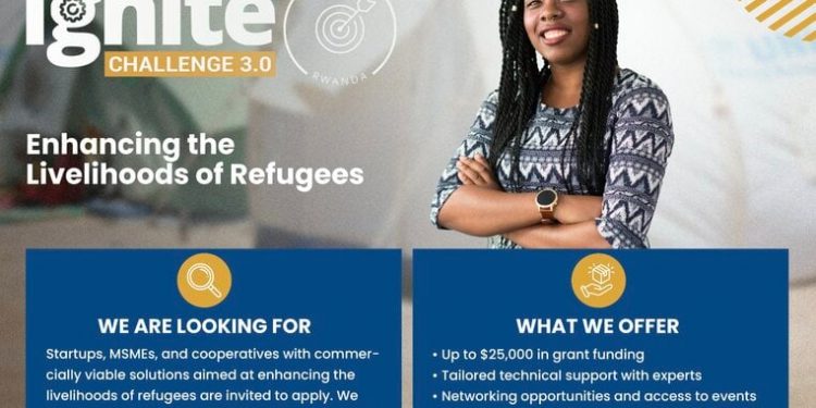 Call For Applications: You grant Impact Hub Kigali(IHK) and World Food Program(WFP) The IGNITE 3.0 (Up to $25,000 in grant funding)
