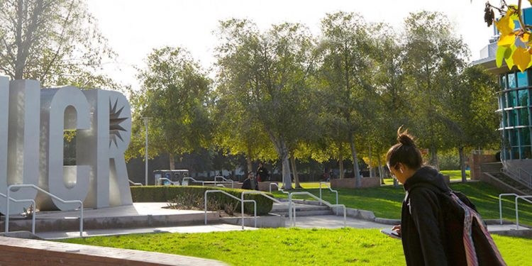 EU Business School Partners African Enterprise and Entrepreneurship Institute to Launch Elite Successors’ Program