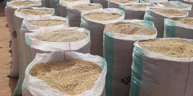 Nigerian Government to Issue Executive Order for Importation of Paddy Rice and Seeds to Combat Food Inflation