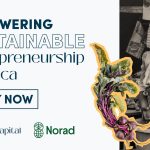 Call For Applications: Village Capital Empowering Sustainable Entrepreneurship Africa