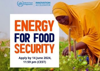 Call For Applications: WFP Niger Innovation Challenge: Energy for Food Security