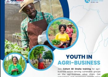 Call for Applications: YALI RLC West Africa Emerging Leaders Program – Cohort 50 training in Agri-business