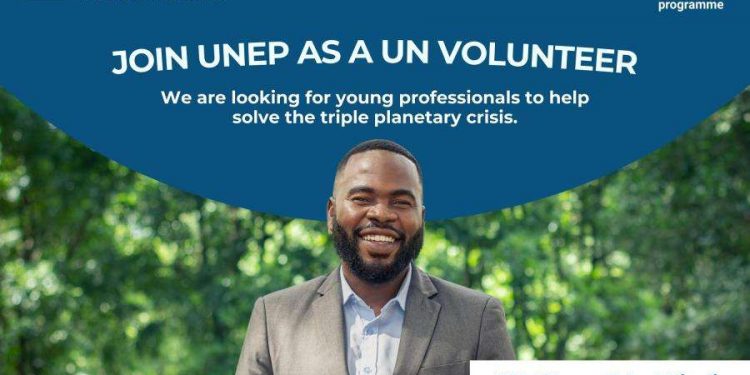 Call For Applications: UNEP UNV Young Talent Pipeline