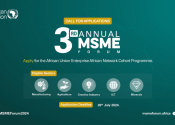Call For Applications: African Union Enterprise African Network (EAN) Fellowship Program 2024