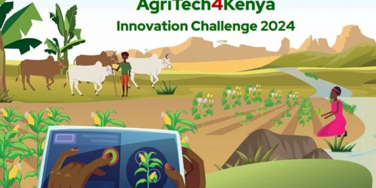 Call For Applications: AgriTech4Kenya Innovation Challenge 2024