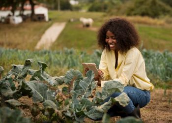 Call For Applications: Fidelity GreenTech Innovation Challenge 2024 (GHS 1 million in grants)
