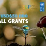 Global Environment Facility Small Grants Program 2024 In Kenya