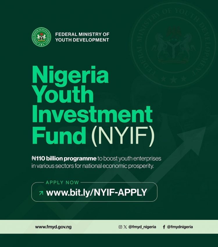 Call for Applications:Nigeria Youth Investment Fund ( N110 Billion in Grants, Loans and Equity for Young Entrepreneurs and Startups