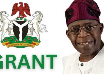 Four Million Nigerians Apply for One Million Government Palliative Grants