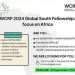Call For Applications: WCRP 2024 Global South Fellowship: focus on Africa