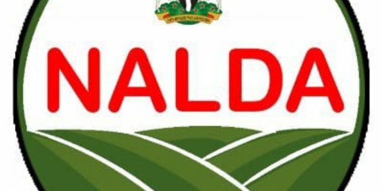 NALDA Set to Launch Institute Of Agribusiness And Entrepreneurship In Six Geo-political Zones