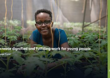 Call For Applications: The Agribusiness Challenge Fund For SMEs in Africa ( Up to US$ 2,500,000)