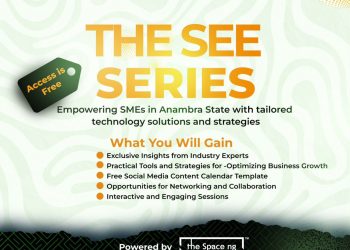 Call For Applications: SMEDAN, Kodex Africa SEE Series (Workshop For SMEs in Anambra State)