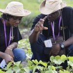 Call for Applications: Accelerating African Women’s Leadership in Climate Action Fellowship 2024