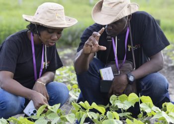 Call for Applications: Accelerating African Women’s Leadership in Climate Action Fellowship 2024