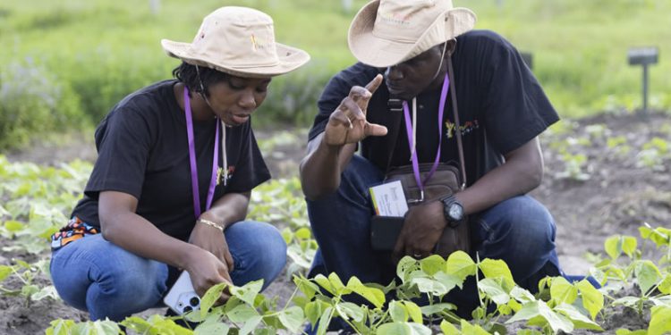 Call for Applications: Accelerating African Women’s Leadership in Climate Action Fellowship 2024