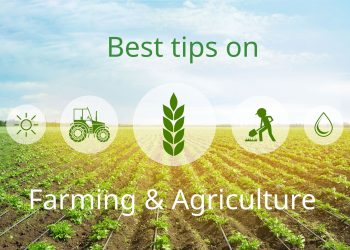 Ways to manage your Agribusiness and make more profits.