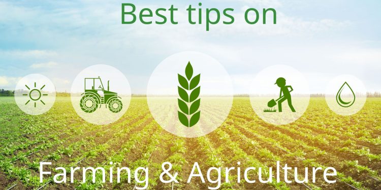 Ways to manage your Agribusiness and make more profits.