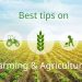 Ways to manage your Agribusiness and make more profits.
