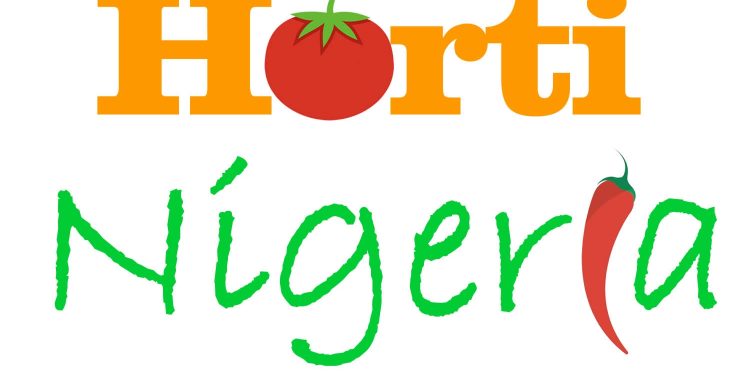 HortiNigeria Trains 62,000 Farmers on Best Agricultural Practices in Nigeria