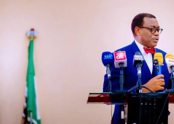 Nigeria’s food importation policy could destroy country’s agriculture, warns Akinwumi Adesina