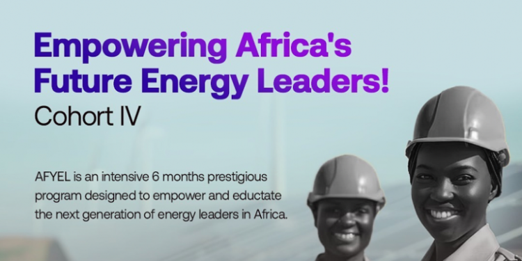 Call For Applications: Africa Fellowship for Young Energy Leaders (AFYEL) 2024 [Cohort 4]