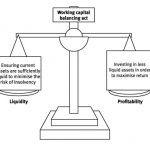 Should my business focus on profitability or liquidity?