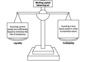 Should my business focus on profitability or liquidity?