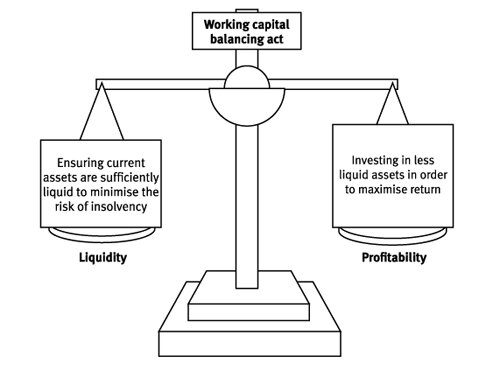 Should my business focus on profitability or liquidity?
