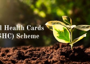 Nigeria Launches Soil Health Card Scheme to Boost Agricultural Productivity