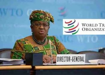 WTO Internship Program (World Trade Organization)