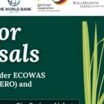 Call For Applications - Joint Matching Grant Fund (MGF) for ERO and MOVE – Rice Mills