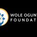 Call For Applications: Wole Ogunyemi Undergraduate Scholarship For Nigerians
