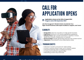Call For Applications: Bluerock Accelerator Program ( Up to N15 million Investment)