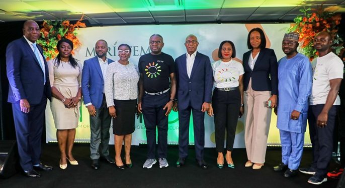 Meristem Unveils MORE