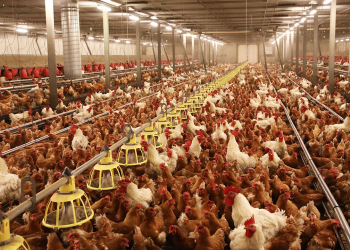 the Federal Ministry of Agriculture,