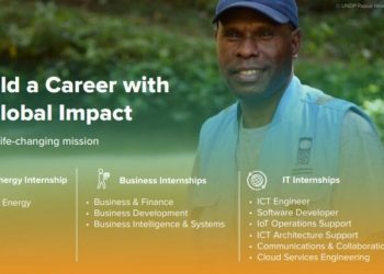 Call For Applications: UNDP IT Management (UNDP ITM) 9 Paid Internship 2025