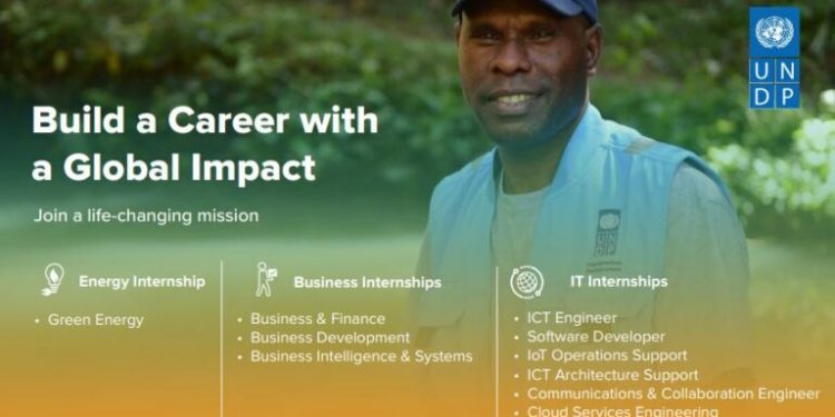 Call For Applications: UNDP IT Management (UNDP ITM) 9 Paid Internship 2025