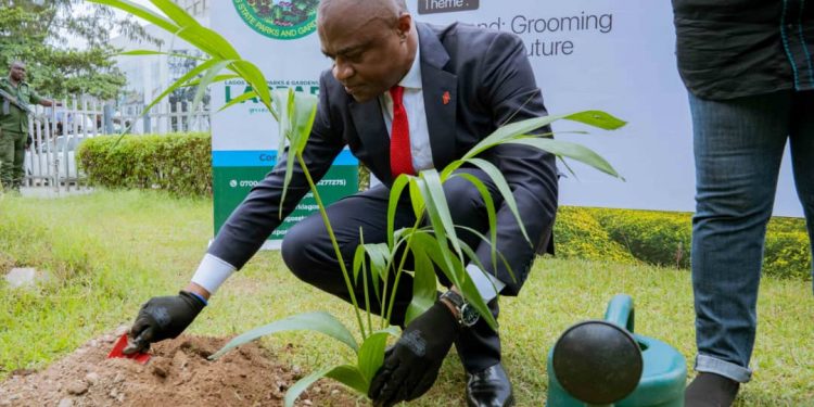 UBA Foundation, the Corporate Social Responsibility (CSR) arm of United Bank for Africa (UBA) Plc, is taking bold strides to lead Africa’s green revolution and combat climate change. Through its 2024 Tree Planting Campaign, themed *“Our Land: Grooming a Greener Future,”* the foundation aims to plant one million trees across Africa by 2025 as part of a broader commitment to environmental sustainability. Speaking at the launch of the campaign, UBA Group Managing Director/Chief Executive Officer Oliver Alawuba reaffirmed the bank’s strong dedication to sustainability and the well-being of the planet. During a symbolic tree planting ceremony at the UBA Foundation Garden in Marina, Lagos, Alawuba stated, “We must work to save the planet, and we commit that UBA will plant one million trees across Africa by the end of 2024. Trees are essential not only for carbon reduction but also for lowering urban temperatures by at least 12 degrees Celsius, reducing the risk of heat-related crises.” Alawuba emphasized the simplicity of tree planting as a tool for driving the United Nations' Sustainable Development Goals (SDGs), particularly SDG 11, which focuses on sustainable cities and communities. He highlighted that recent flooding in Nigeria is a consequence of global warming, stressing that planting trees is a small yet impactful action everyone can take to create a healthier environment. Bola Atta, Managing Director/CEO of UBA Foundation, noted that the tree planting initiative goes beyond symbolism. "These trees are powerful agents of change in our fight against climate change," she said. Atta stressed the need to return to healthier living environments for future generations, explaining that trees play a vital role in purifying the air, reducing the impact of floods, and preventing the displacement of communities. Also in attendance was Mrs. Funto Aina, representing Lagos State Parks and Gardens Agency (LASPARK), who commended UBA Foundation’s commitment to environmental conservation. Aina acknowledged that UBA’s efforts align with the Lagos State Government's objectives of nurturing the future through tree planting, praising the foundation’s collaboration with LASPARK in recent years. UBA Foundation has long been dedicated to improving the socio-economic conditions of the communities in which it operates, with a particular focus on education, environment, economic empowerment, and special projects. Through initiatives like the Tree Planting Campaign, UBA is actively contributing to the fight against climate change while fostering a greener future for Africa.