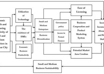 The Role of MSMEs in Driving Economic Growth and Innovation in Emerging Markets