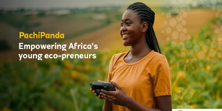 MTN-WWF Africa PachiPanda Challenge 2024 for youth-led SMEs